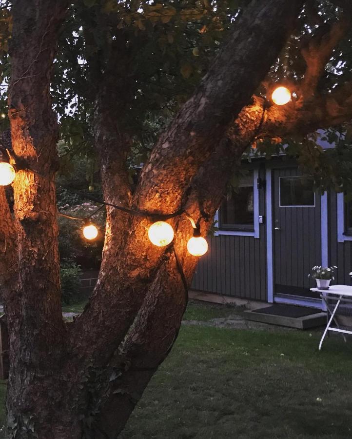 Cosy In Southern *